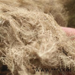 安祁名药优质龙须草 松萝  女萝图3