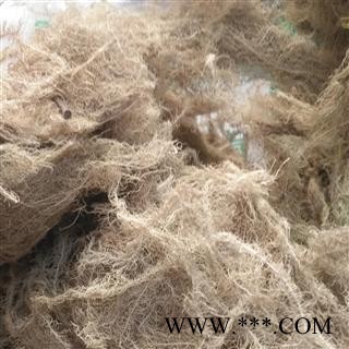 安祁名药优质龙须草 松萝  女萝图4