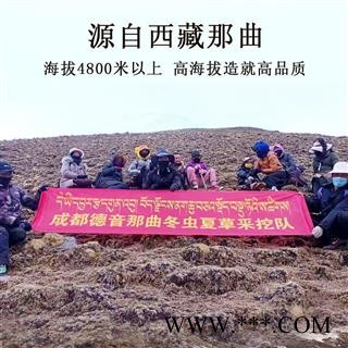 【满包邮】冬虫夏草5条/克 产地西藏那曲 中药材批发 规格齐全图2