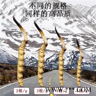 【满包邮】冬虫夏草5条/克 产地西藏那曲 中药材批发 规格齐全图3