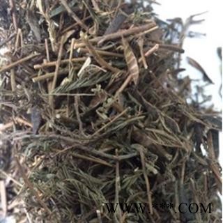 安祁名药软肝草  铁甲草 益肝草 乙肝草 肝炎草图3