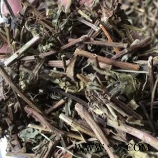 安祁名药正品猫须草 肾草 肾茶图2