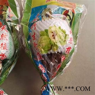 安祁名药中朵雪莲花 天山雪莲花图3