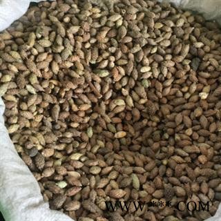 安祁名药正品苍耳  内蒙古后期货图2