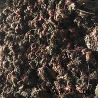 安祁名药正品锦地罗 落地金钱 怎地罗图3