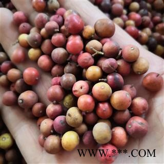 安祁名药瞿麦  南天竺  天烛子 南天子 实物拍摄图2