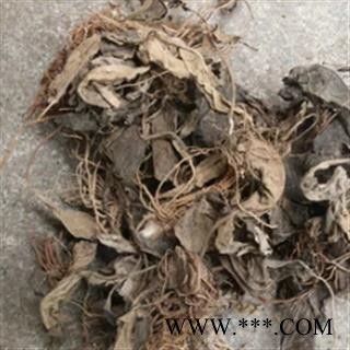 安祁名药正品野生中药材一柱香 新草耳 毛大丁草  兔儿风图2