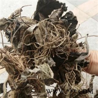 安祁名药正品野生中药材一柱香 新草耳 毛大丁草  兔儿风图3