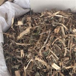 安祁名药正品罗勒 九层塔 金不换图2