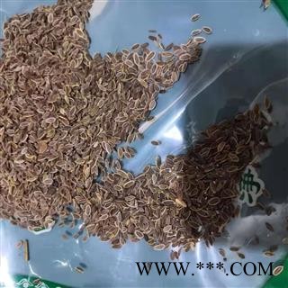 安祁名药千里香  地椒 百里香图2