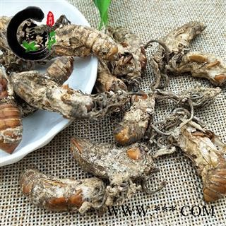 蝉花金蝉花蝉花1公斤起售欢迎选购一手货源合作共赢专注品质，诚信信邦！图3