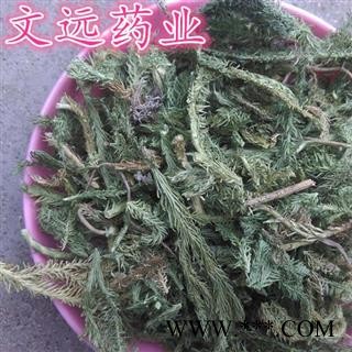 伸筋草 选片 产地 四川省图3