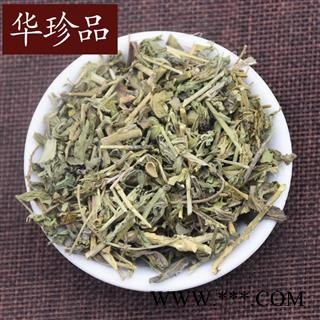 透骨草 03 珍珠透骨草 统 产地 浙江省绍兴市新昌县图3