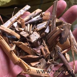 安祁名药博落回  博落回根图2