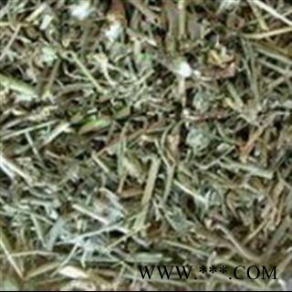 安祁名药正品苦荬菜 苦碟子  满天星 抱茎图2