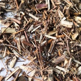 安祁名药蓍草   一支蒿   蜈蚣草  飞天蜈蚣草图2