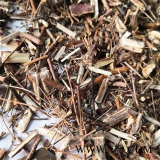 安祁名药蓍草   一支蒿   蜈蚣草  飞天蜈蚣草图1