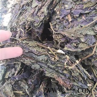 安祁名药紫苏梗 紫苏叶 紫苏根图2