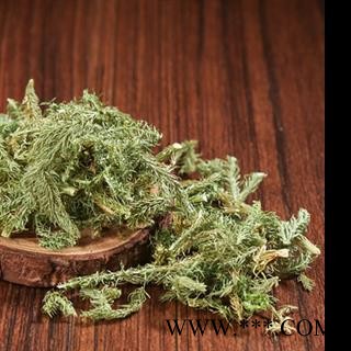 安祁名药伸筋草  舒筋草 石松 狮子尾图2