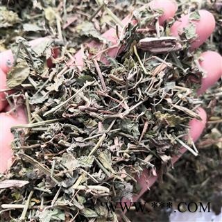 安祁名药蛇莓 野草莓 蛇泡草 实物拍摄图2