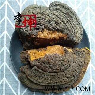 【包邮】桑黄 野生 正宗桑树桑黄 桑上寄生 桑黄中个 梅树菌 针层孔菌【良心经营 品种齐全】图2