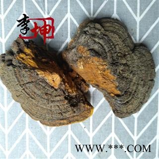 【包邮】桑黄 野生 正宗桑树桑黄 桑上寄生 桑黄中个 梅树菌 针层孔菌【良心经营 品种齐全】图3