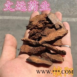 锁阳 统装 产地 内蒙古自治区图2