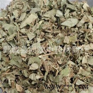 【大叶金钱草】@【同欢药材】中药材批发供应@【大叶金钱草】规格齐全 量大从优 产地 广东省图2