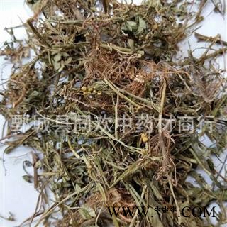 【叶下珠 一叶秋】@【同欢药材】中药材批发供应 规格齐全 量大从优 产地 黑龙江省图2