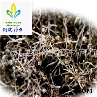 【白花蛇舌草】@【同欢药材】中药材批发供应 规格齐全 量大从优  产地 江西省图1