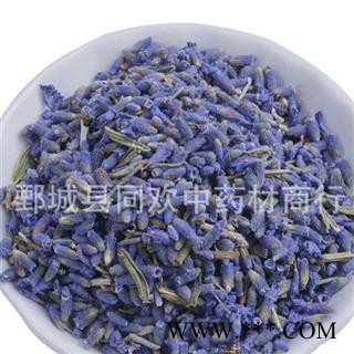 【新货薰衣草】@【同欢药材】中药材批发供应 规格齐全 量大从优  产地 内蒙古自治区图3