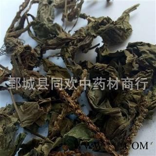 【车前草】@【同欢药材】中药材批发供应  规格齐全 量大从优  产地 山东省图2