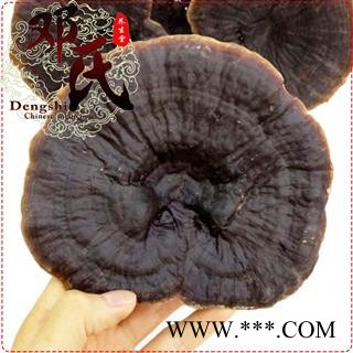 野生黑灵芝选货1公斤起批甜味散装批发产地直供邓氏中药材批发图2
