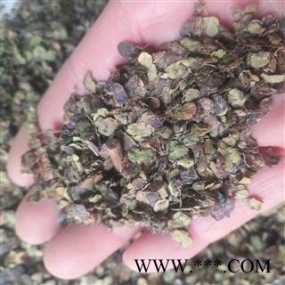 安祁名药正品浮萍 青浮萍  紫背浮萍图2