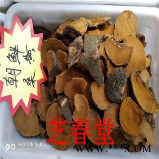 芝春堂 无硫正品 桑黄 桑上寄生 桑臣  胡孙眼 桑黄菰 桑黄菇图4