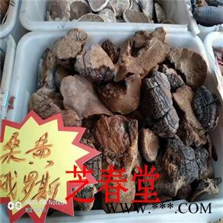芝春堂 无硫正品 桑黄 桑上寄生 桑臣  胡孙眼 桑黄菰 桑黄菇图2