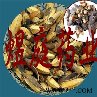 煜庭药业 香椿子 响铃子图3