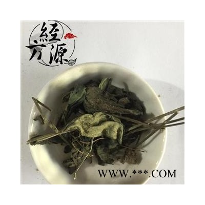 穿心莲 叶B 统 产地 广西壮族自治区