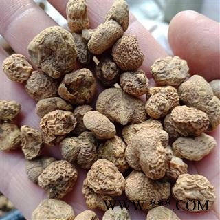 延胡索 元胡 正品保证实图拍照 中药材批发 丽丽药业图2