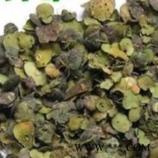 【录建药业】浮萍 浮萍草 统 产地 山东省图4