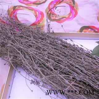 田基黄,对对草 统货 产地 四川省成都市双流县图3