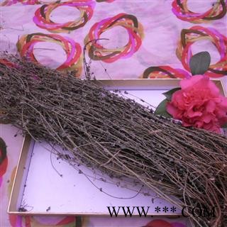 田基黄,对对草 统货 产地 四川省成都市双流县图2