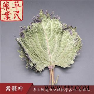 草民甄选出口级纯紫苏叶 扎把紫苏叶 正品紫苏 专业批发量大从优图2