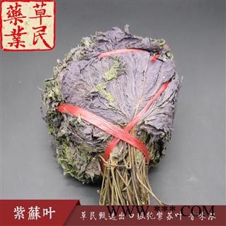 草民甄选出口级纯紫苏叶 扎把紫苏叶 正品紫苏 专业批发量大从优图3