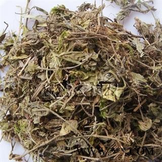 黄毛耳草 选 产地 安徽省图2