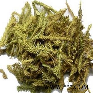 伸筋草 统货 产地 四川省图2