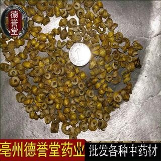 耳环石斛 石斛枫斗 产地  安徽  德誉堂药业批发各种中药材图3