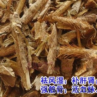 五加皮 川 五加皮 红毛五加皮 产地 四图3