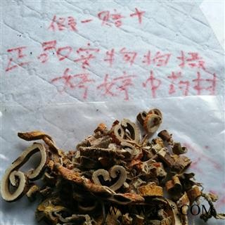 白桑皮统产地广西壮族自治区玉林市陆川县图3