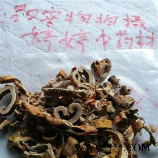 白桑皮统产地广西壮族自治区玉林市陆川县图2